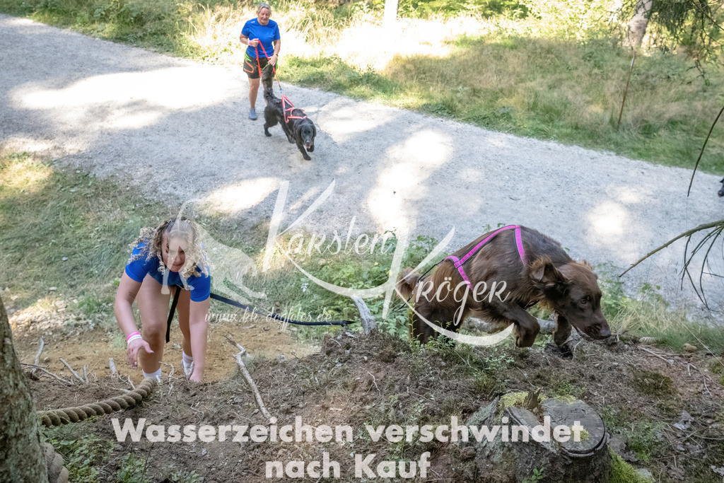 1216_ZZ93788 | kk-dogfotos