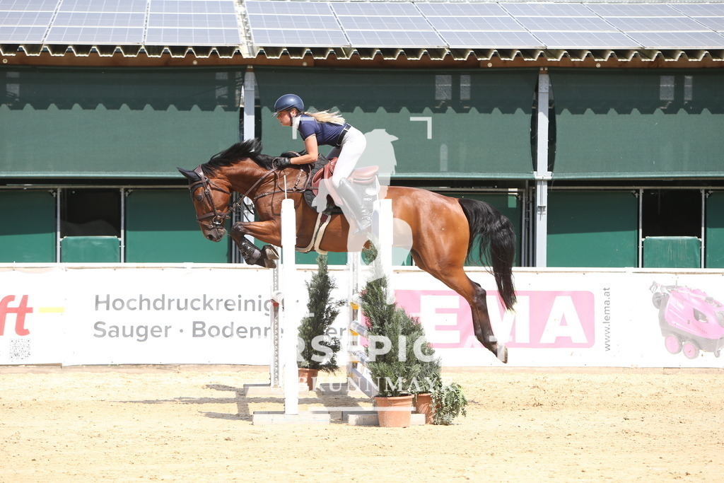 DL2Q0977 | Willkommen bei Brunnmayr - Design & Fotografie – Ihrem Spezialisten für Reitturniere und Pferdeveranstaltungen in Oberösterreich, Salzburg und Bayern! Seit über 17 Jahren sind wir leidenschaftlich dabei.
