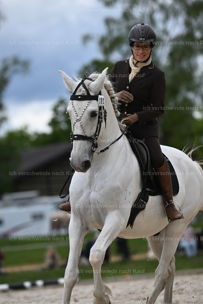 PI26_ST_Sara_Landvogt226_2991.JPG | working equitationturnier fotograf videograf stoibphotography marixx film working equitation deutschland reitsport turnierfotografie eventfotografie equestrian events