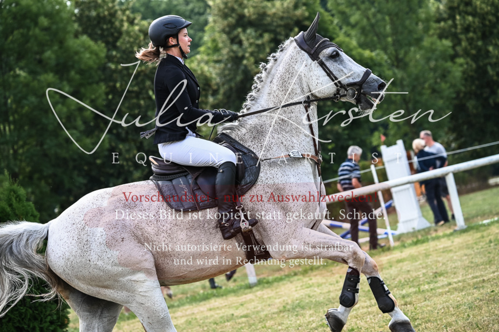 DSC_8340 | Pferde- und Turnierfotografie in Westsachsen. Pferdeportraits, Auftragszeichnungen und intuitive Kunst.