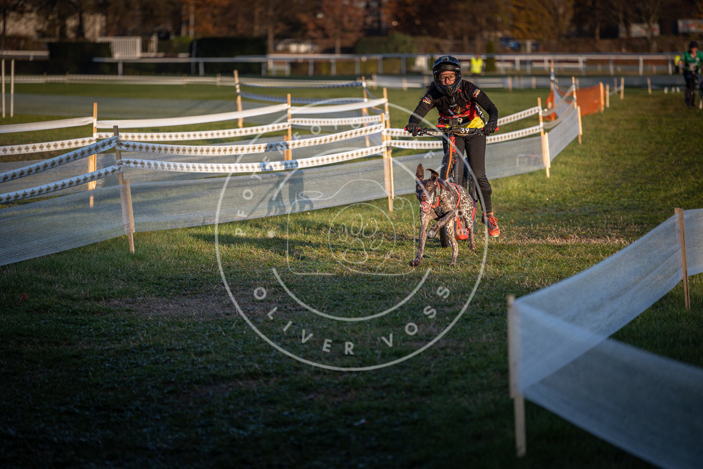 CaniXpix_0L8A2326 | Hundefotografie, Tierfotograf, Pfotenfotografie, Fotoshooting Hund, Hunde Portrait, Hundesport, Hundeportraits, Heideshooting, Hunde, Sportfotograf, Hundefotograf, Turnierhundsport, THS,  - Realisiert mit Pictrs.com