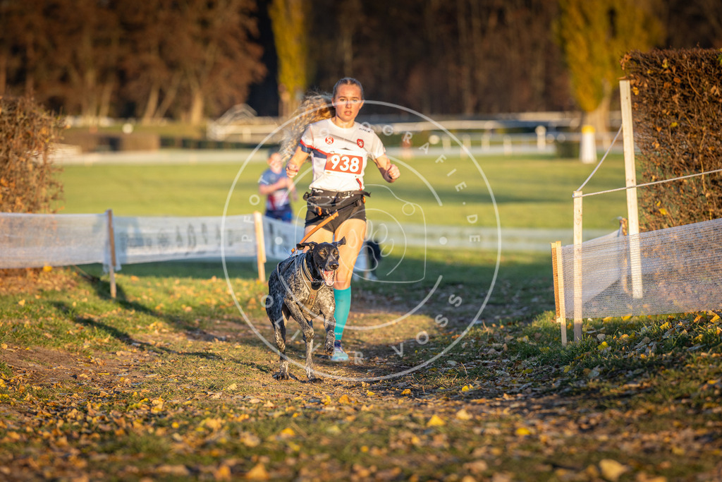 CaniXpix_DV3A5256 | Hundefotografie, Tierfotograf, Pfotenfotografie, Fotoshooting Hund, Hunde Portrait, Hundesport, Hundeportraits, Heideshooting, Hunde, Sportfotograf, Hundefotograf, Turnierhundsport, THS,  - Realisiert mit Pictrs.com
