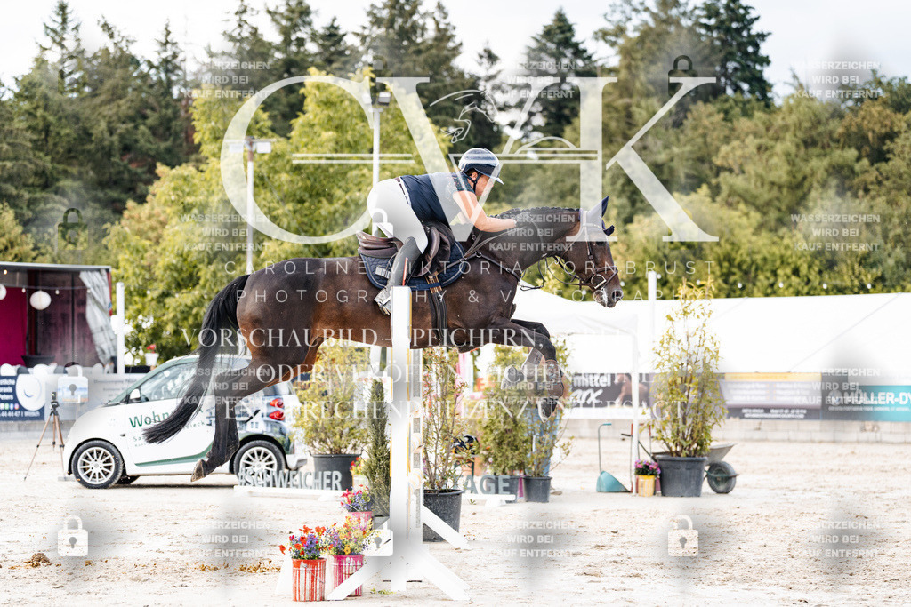 CK903725 | Turnierfotografie Pferdefotografie Trier Rheinland-Pfalz Pferdesport Reitsport Tierfotografie Sportfotografie Pferdevideo Pferdevideografie Equestrianvideography equestrianphotography  - Realisiert mit Pictrs.com