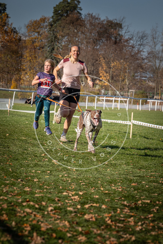 CaniXpix_0L8A7013 | Hundefotografie, Tierfotograf, Pfotenfotografie, Fotoshooting Hund, Hunde Portrait, Hundesport, Hundeportraits, Heideshooting, Hunde, Sportfotograf, Hundefotograf, Turnierhundsport, THS,  - Realisiert mit Pictrs.com