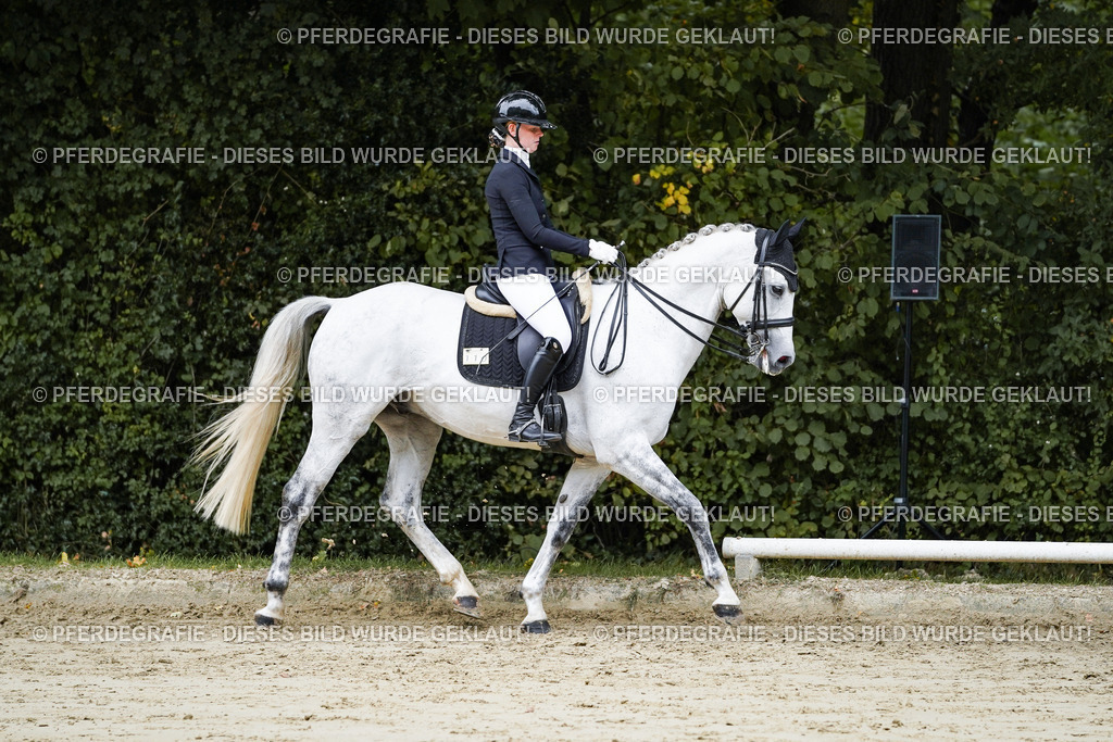 DSC08446 | Pferdegrafie