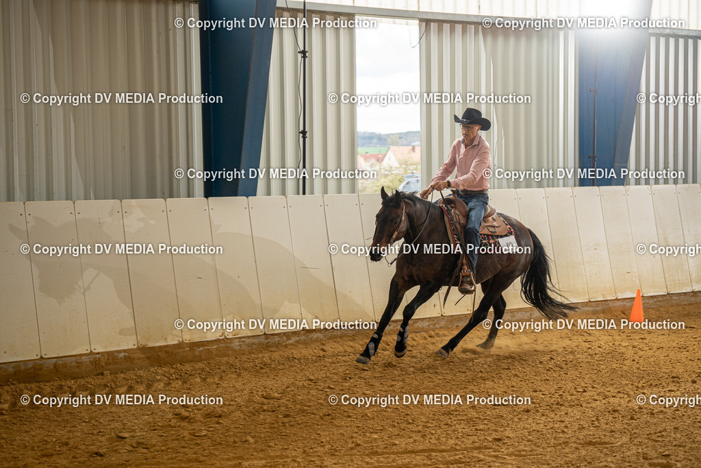 MIT01321 | dv-media-shop - Realisiert mit Pictrs.com