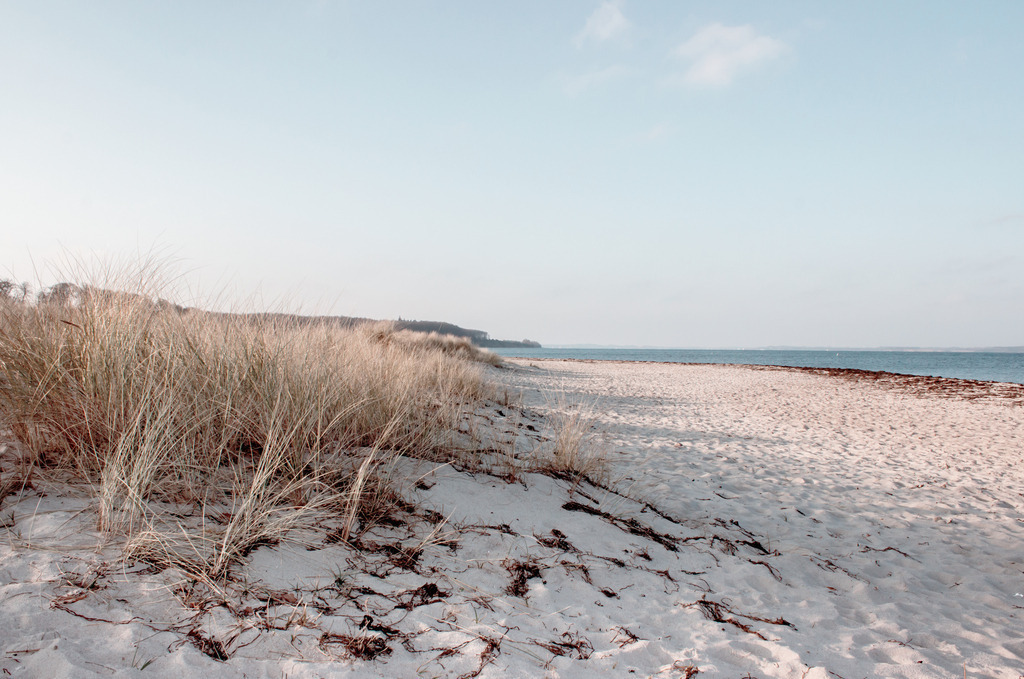 Wandbild: Strandhafer am Sandstrand | Dieses Wandbild im Querformat zeigt einen schönen Sandstrand an einem sonnigen Tag. Auf der linken Seite ist Strandgras auf einem kleinen Hügel zu sehen. Im Vordergrund und auf der rechten Seite bringt der Sandstrand einen natürlichen Sandton ins Bild ein. Die Farbe des Himmels ist pastellartig hellblau, diese wirkt auf einem Wandbild sehr stilvoll. Schaffen Sie sich ein maritimes Ambiente in Ihrem Wohnzimmer und kaufen Sie sich dieses stilvolle Wandbild. Es ist auf Leinwand, Aluminium-Platte, Acrylglas oder als Holzdruck erhältlich. Die Wandbilder werden individuell für Sie in vielen Abmessungen produziert. Daher passen die Ostseekult Wandbilder immer perfekt an Ihre Wände. - Realisiert mit Pictrs.com