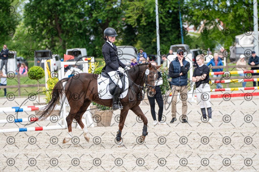 KPT_5999 | andre_photographic