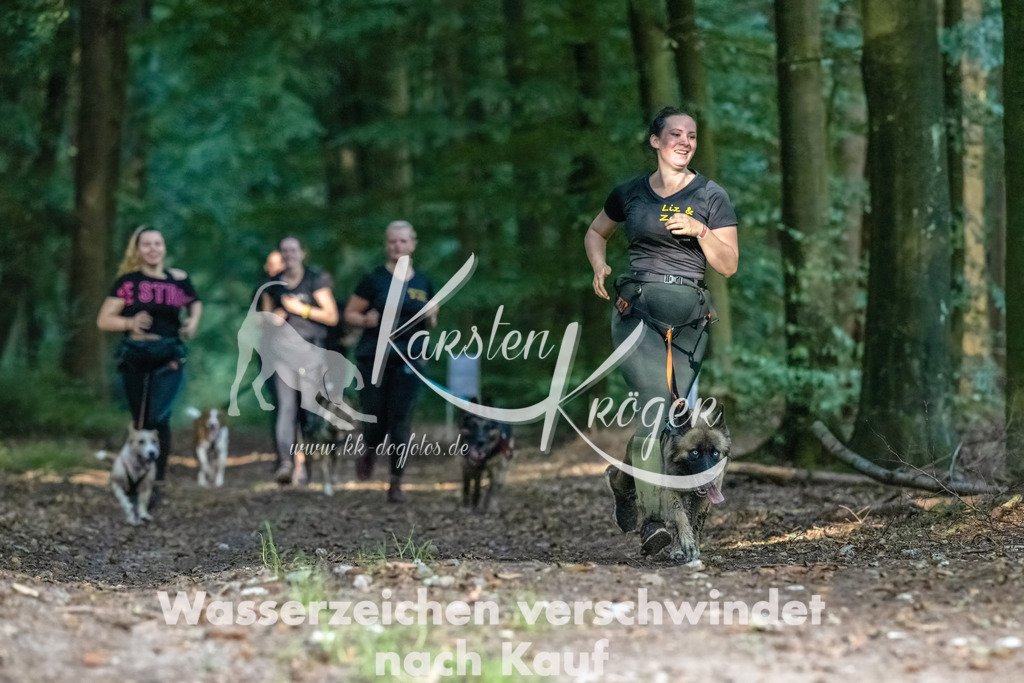 0908_ZZ90332-Bearbeitet | kk-dogfotos