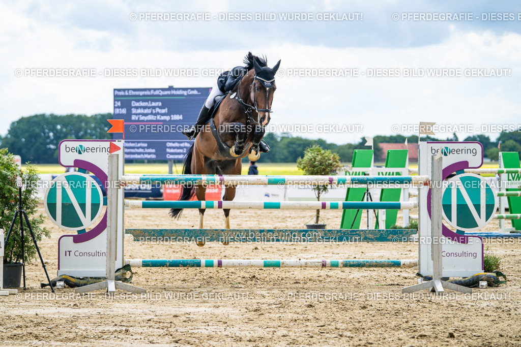 DSC05916 | Pferdegrafie