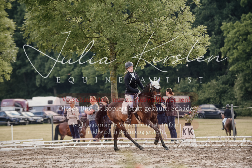 DSC_8201 | Pferde- und Turnierfotografie in Westsachsen. Pferdeportraits, Auftragszeichnungen und intuitive Kunst.