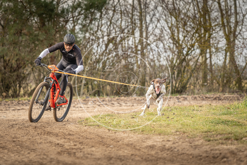 Pfotenfotografie_DV3A7094 | Hundefotografie, Tierfotograf, Pfotenfotografie, Fotoshooting Hund, Hunde Portrait, Hundesport, Hundeportraits, Heideshooting, Hunde, Sportfotograf, Hundefotograf, Turnierhundsport, THS,  - Realisiert mit Pictrs.com