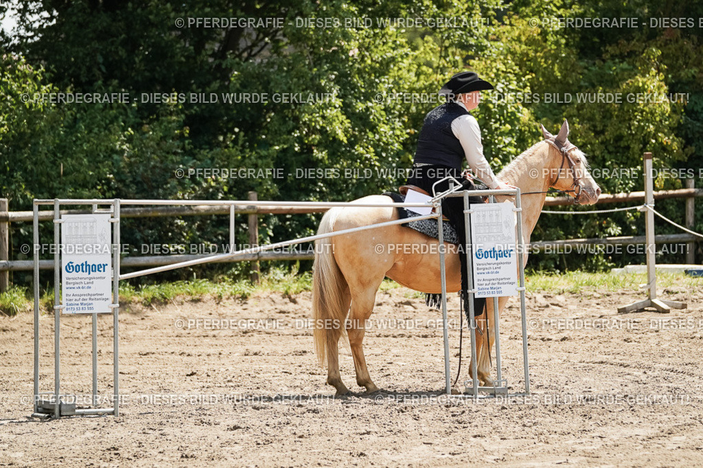 DSC06990 | Pferdegrafie