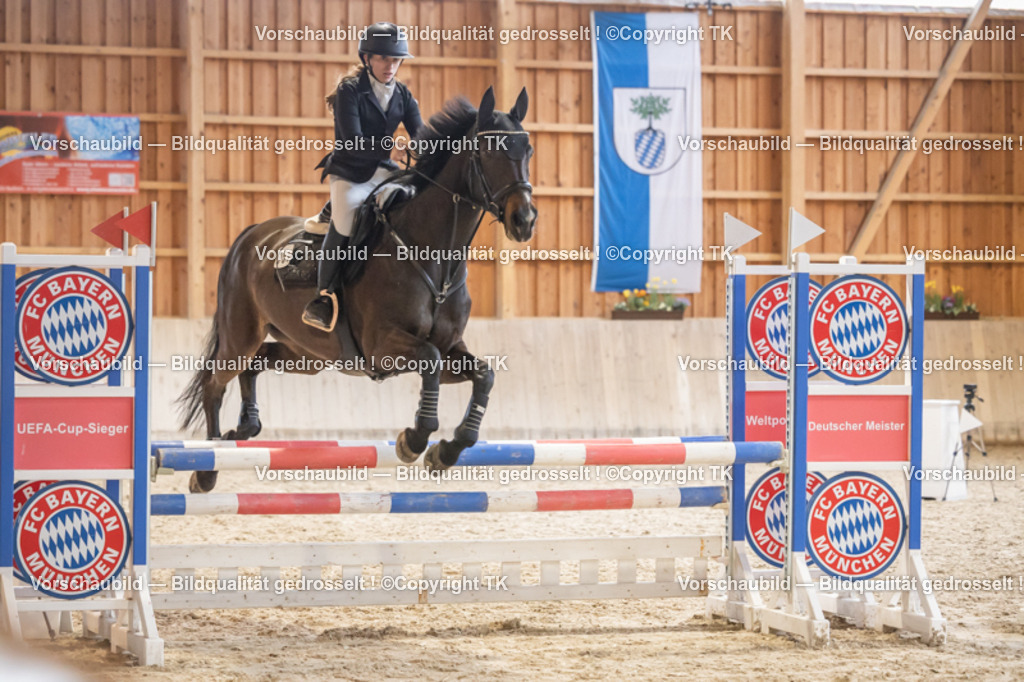 _D5A8145 | Emotionale Pferde- & People-Fotografie rund um Heidelberg, Leimen & Umgebung. Natürliche Fotos von Pferd, Mensch & Familie. Jetzt Termin sichern!