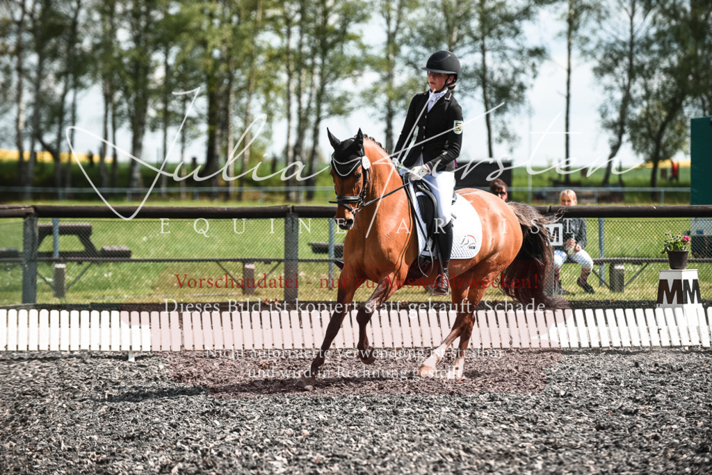 DSC_9002 | Pferde- und Turnierfotografie in Westsachsen. Pferdeportraits, Auftragszeichnungen und intuitive Kunst.