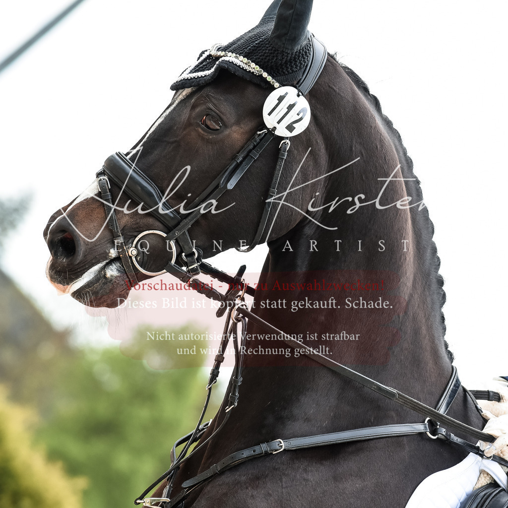20230518_JK-Röhrsdorf-10-461 | Pferde- und Turnierfotografie in Westsachsen. Pferdeportraits, Auftragszeichnungen und intuitive Kunst.