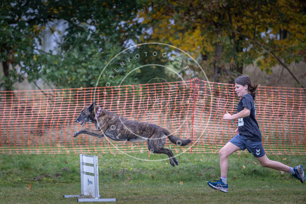 Pfotenfotografie_DV3A0353 | Hundefotografie, Tierfotograf, Pfotenfotografie, Fotoshooting Hund, Hunde Portrait, Hundesport, Hundeportraits, Heideshooting, Hunde, Sportfotograf, Hundefotograf, Turnierhundsport, THS,  - Realisiert mit Pictrs.com