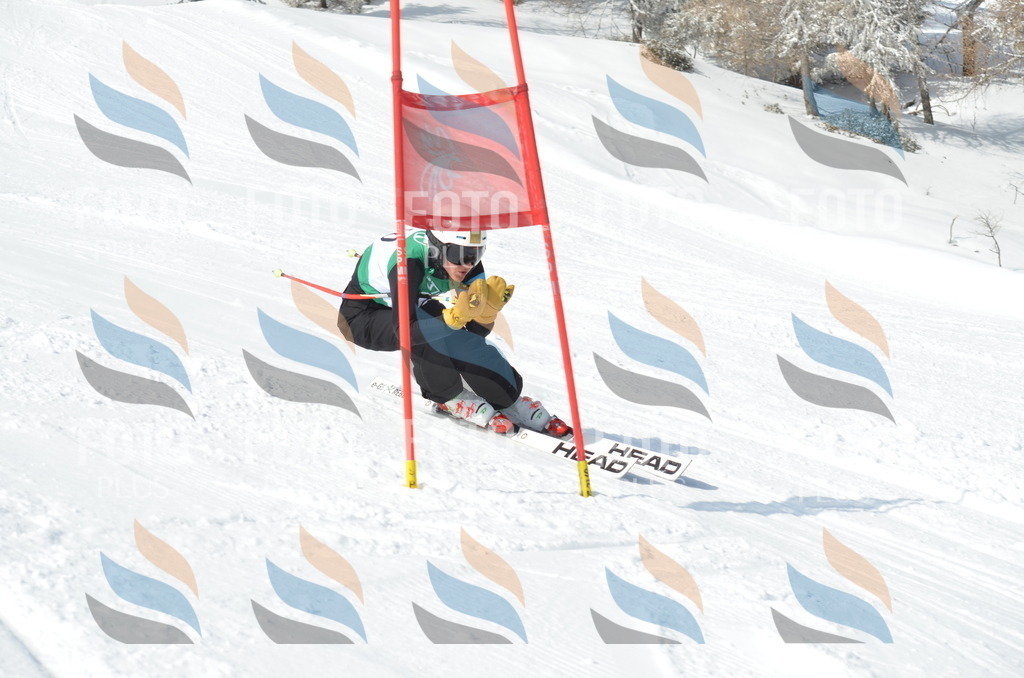 D9191 | holidayphoto