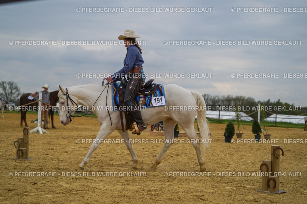 DSC07470 | Pferdegrafie