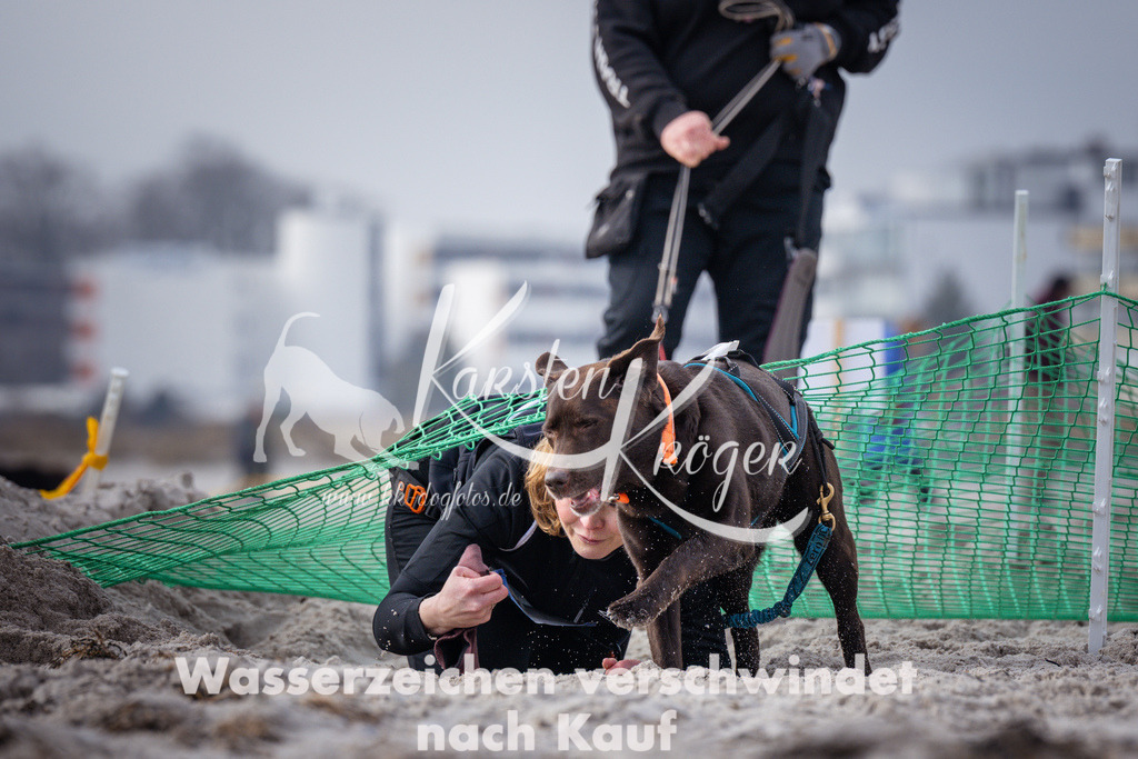 1132_ZZ99328 | kk-dogfotos