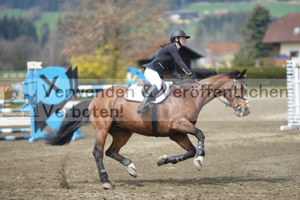 DSC04308 | equestrian-live-com