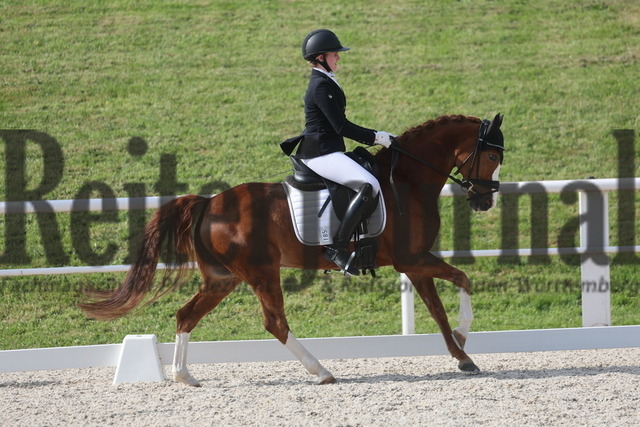 Birkhof_2024_Prfg.Nr.03_Dressurreiterprfg_Kl.L_Nina Bäuerle_Flintstone 46 (11) | Alle Fotos der Reiterjournal Fotografin Doris Matthaes im Reiterjournal Online-Fotoshop. - Realizado com Pictrs.com