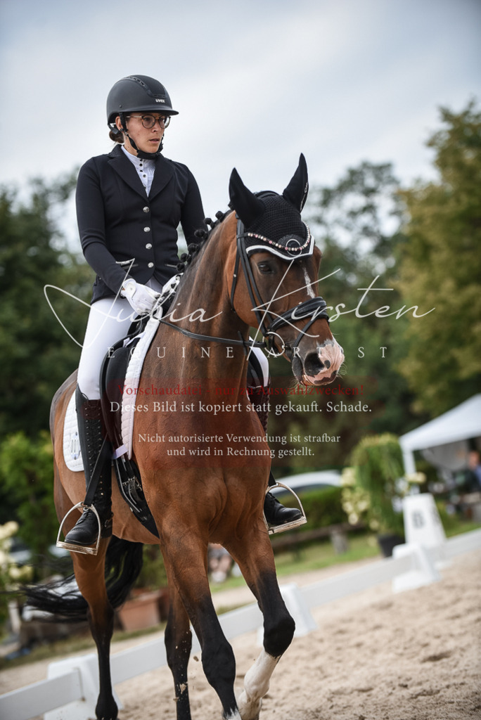 DSC_8557 | Pferde- und Turnierfotografie in Westsachsen. Pferdeportraits, Auftragszeichnungen und intuitive Kunst.
