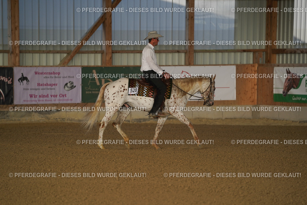 DSC07938 | Pferdegrafie