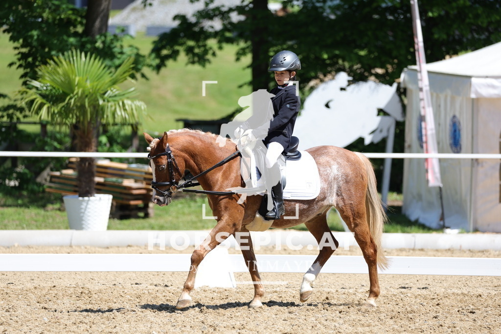 0P6A0397 | Willkommen bei Brunnmayr - Design & Fotografie – Ihrem Spezialisten für Reitturniere und Pferdeveranstaltungen in Oberösterreich, Salzburg und Bayern! Seit über 17 Jahren sind wir leidenschaftlich dabei.