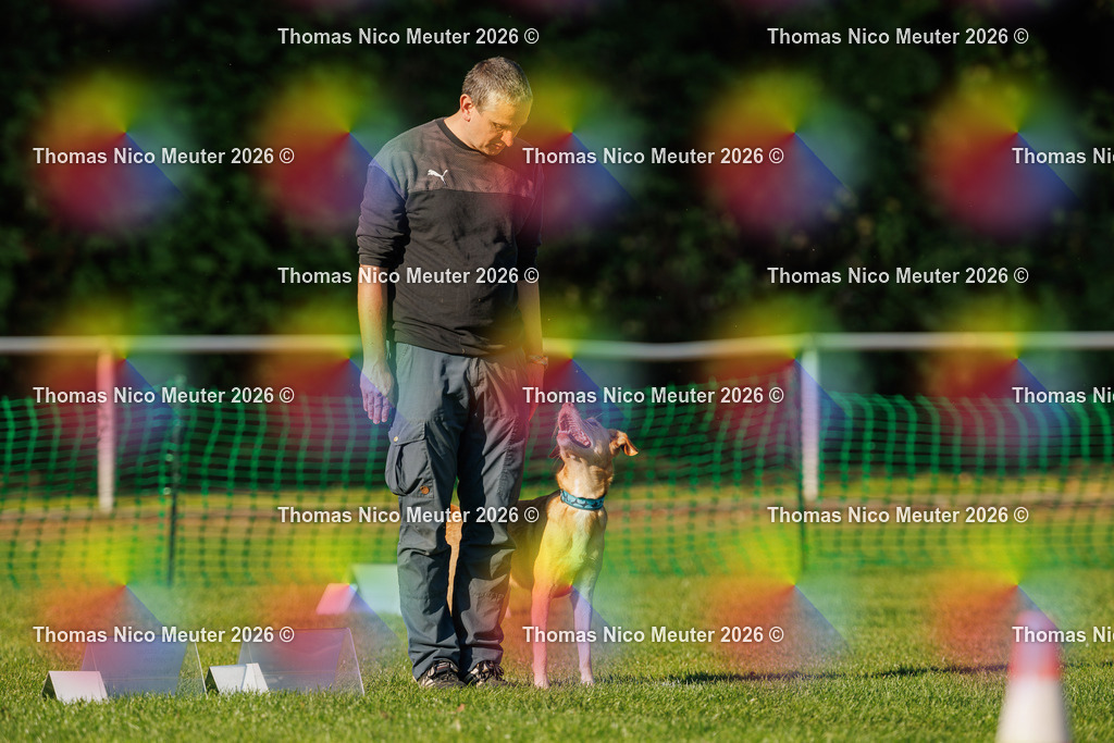 Thomas_Nico_Meuter(C)_04. Oktober 2026_223A4030 | Bild von Thomas Nico Meuter - Realisiert mit Pictrs.com