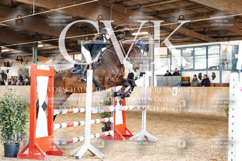 CK905209 | Turnierfotografie Pferdefotografie Trier Rheinland-Pfalz Pferdesport Reitsport Tierfotografie Sportfotografie Pferdevideo Pferdevideografie Equestrianvideography equestrianphotography  - Realisiert mit Pictrs.com