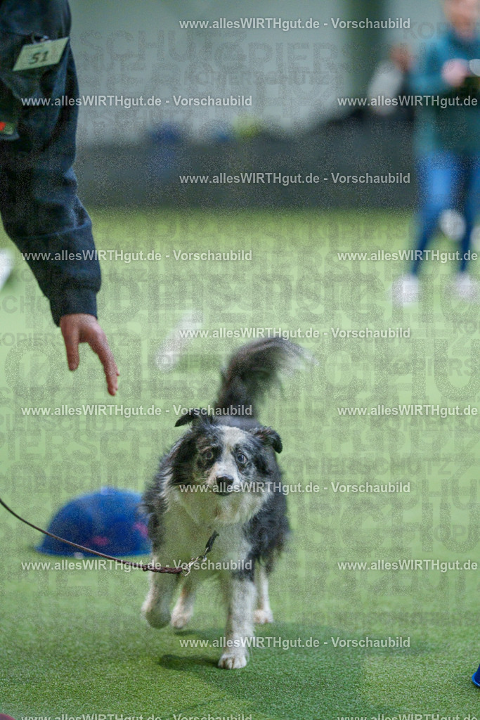 7R506411 | Professionelle Tierfotografie in Mönchengladbach von Daniel Wirth (allesWIRTHgut). Liebevolle & natürliche Bilder von Hunden & Katzen für unvergessliche Erinnerungen.