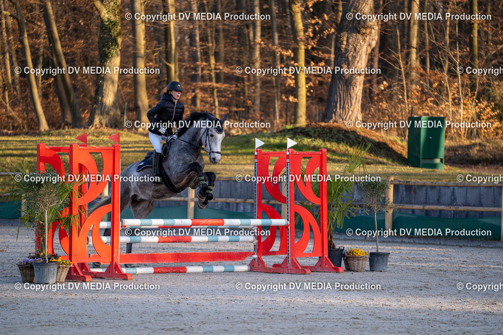 DSC-237 | dv-media-shop - Realisiert mit Pictrs.com