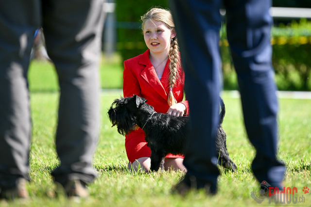 Dogshow CACIB Samstag in Aarau | Dogshow CACIB Samstag in Aarau. 24.06.2023 Foto: LeoWyden