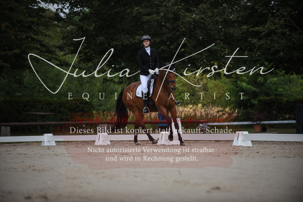 DSC_7965 | Pferde- und Turnierfotografie in Westsachsen. Pferdeportraits, Auftragszeichnungen und intuitive Kunst.