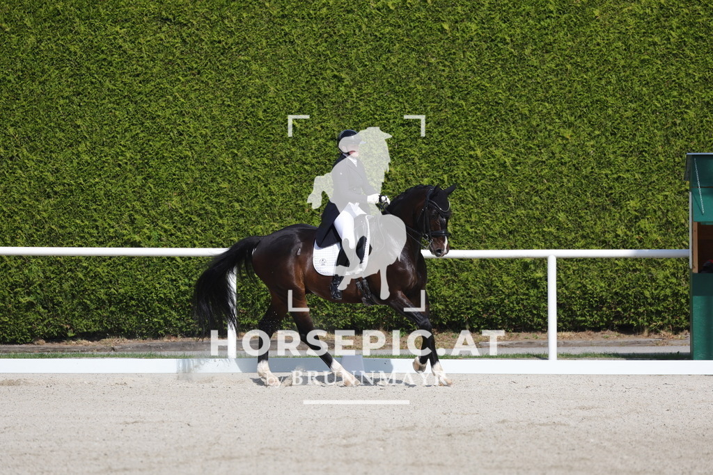 0P6A6742 | Willkommen bei Brunnmayr - Design & Fotografie – Ihrem Spezialisten für Reitturniere und Pferdeveranstaltungen in Oberösterreich, Salzburg und Bayern! Seit über 17 Jahren sind wir leidenschaftlich dabei.