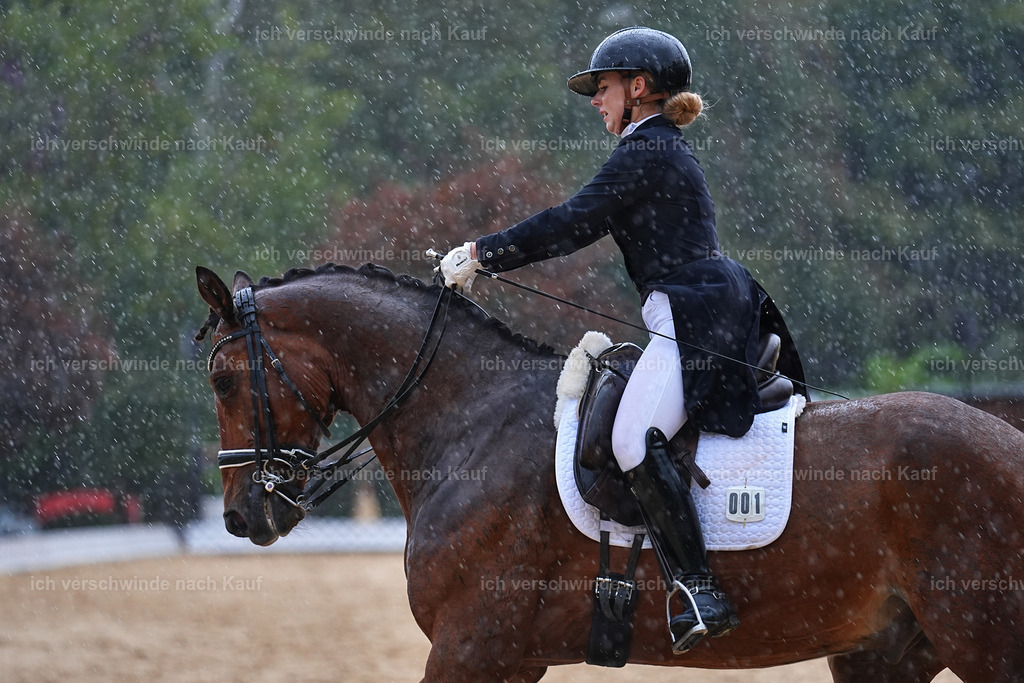 8_1-001-Klasse S_  -Marixx-4339 | working equitationturnier fotograf videograf stoibphotography marixx film working equitation deutschland reitsport turnierfotografie eventfotografie equestrian events