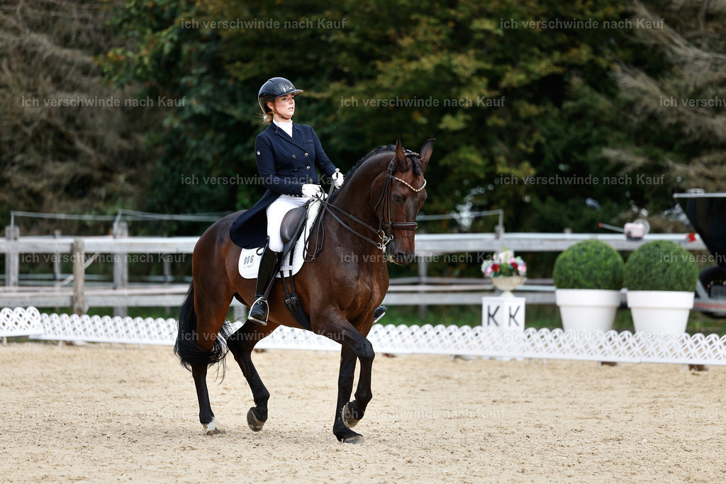 11-066-Dressur S___-StoibPH-1257 | working equitationturnier fotograf videograf stoibphotography marixx film working equitation deutschland reitsport turnierfotografie eventfotografie equestrian events