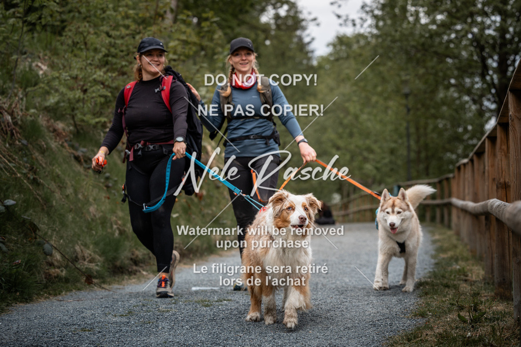 nelerasche_SaAbends_149 | nelerasche