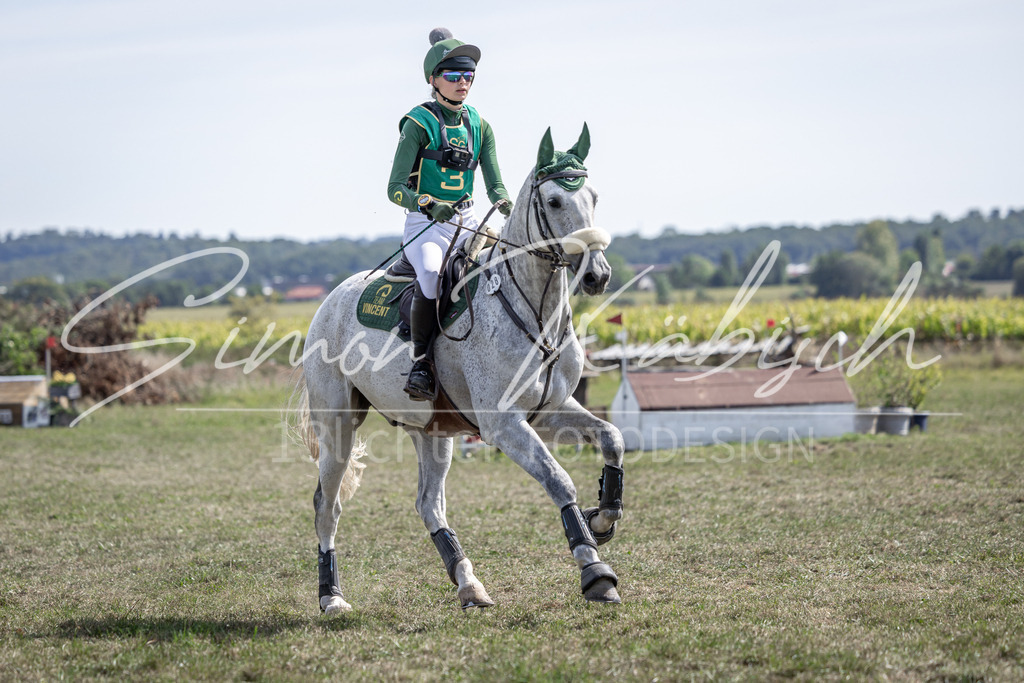 20250907-_3LI1357 | Tierfotografie Pferde, Hunde, Katzen, Haustiere.
Turnierfotografie Reitturniere, Reiten, Springreiten, Dressur in Hanau, dem Main-Kinzig-Kreis und dem Rhein-Main- Gebiet um Frankfurt
