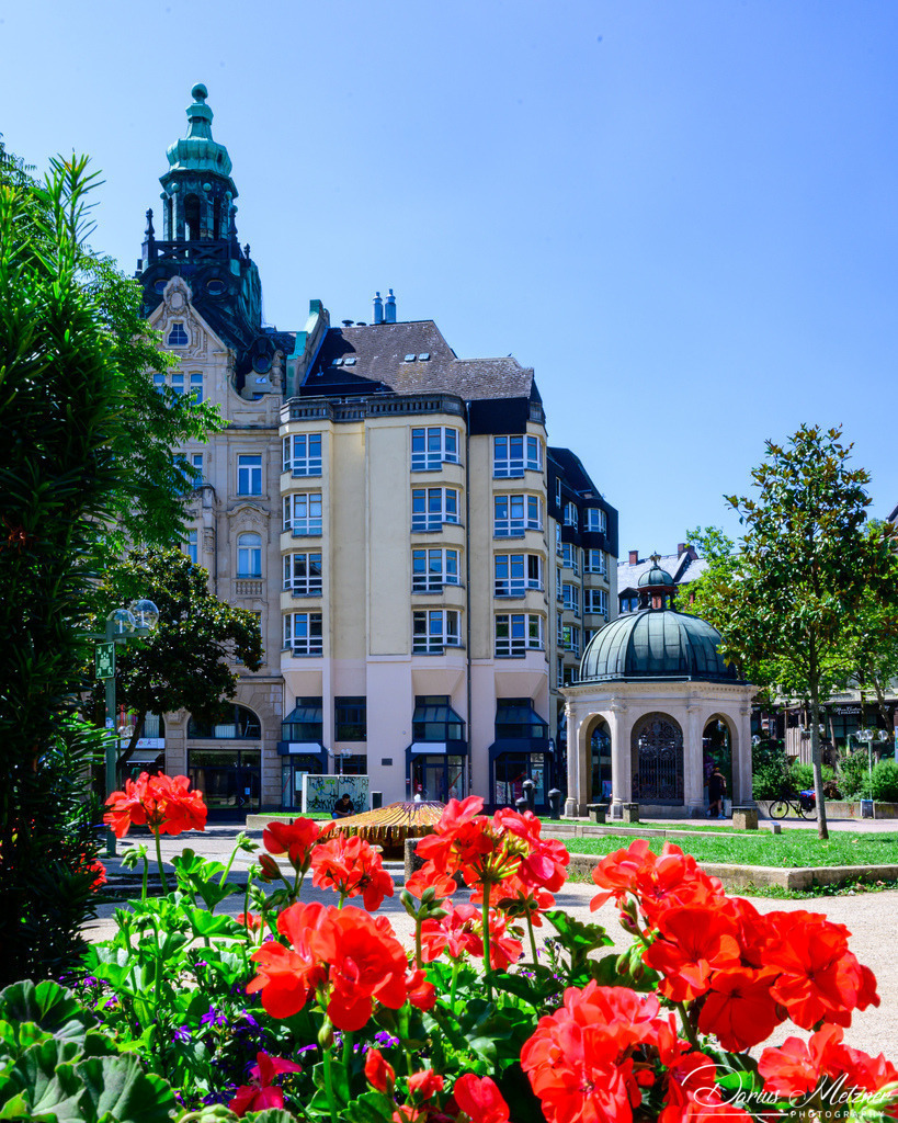 DSC_4310 2 | Fotografien, Fotos und Bilder aus Mainz, Frankfurt, Wiesbaden und anderen Orten auf der Welt - Fotografiert von Darius Metzner