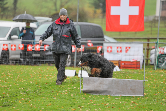 2025_Rally_Obedience_SM-204 | Ich fotografiere Hundeausstellungen, Sportanlässe, Zuchtstätten, Hundezucht, Hundeportrait, Lagotto - Realisiert mit Pictrs.com