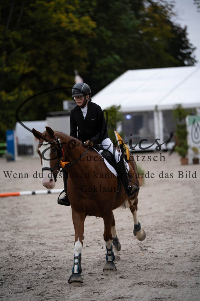 A7V08528 | Pferdefotograf