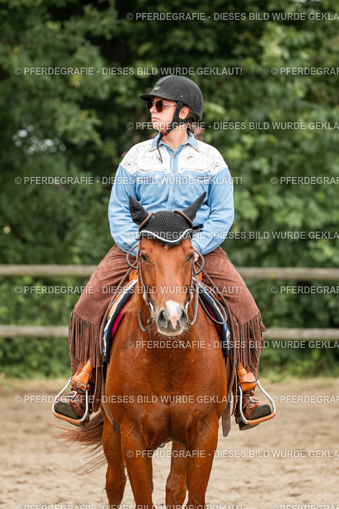 DSC03617 | Pferdegrafie