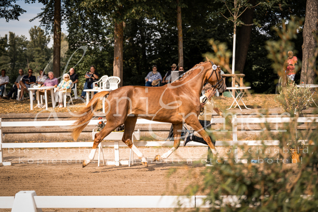 FrER00079 | Leoni Ertmer Photography - Realisiert mit Pictrs.com