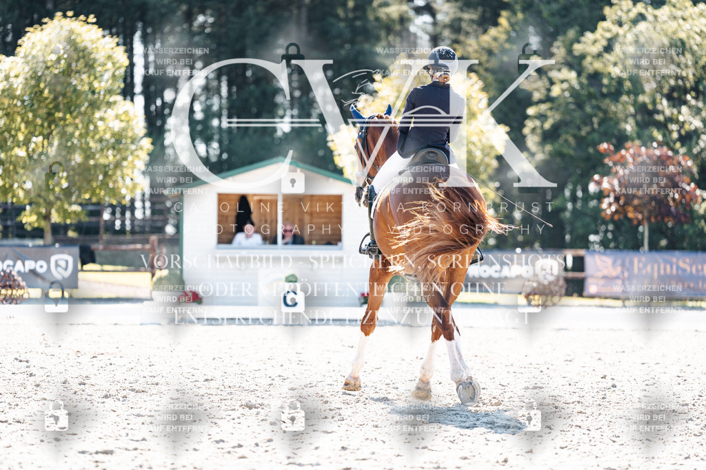 CK905486 | Turnierfotografie Pferdefotografie Trier Rheinland-Pfalz Pferdesport Reitsport Tierfotografie Sportfotografie Pferdevideo Pferdevideografie Equestrianvideography equestrianphotography  - Realisiert mit Pictrs.com
