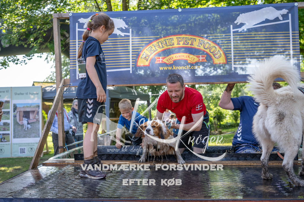 1417_ZZ93803 | kk-dogfotos