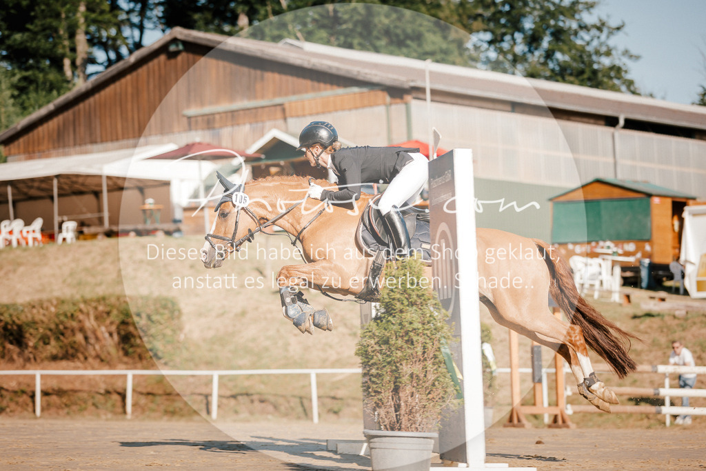 3I6A6217 | Stimmungsvolle Portraits und Reitsportfotografie im Ruhrgebiet und im Münsterland.

Pferdefotografie, Hundefotografie, Tierfotografie, Reportagen, Portraits von Tier und Mensch, Turnierfotografie in Bochum, Recklinghausen, Marl, Haltern am See, Dülmen.. - Realisiert mit Pictrs.com