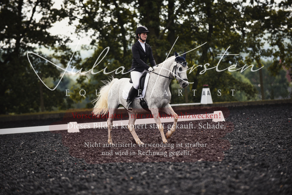 DSC_3974 | Pferde- und Turnierfotografie in Westsachsen. Pferdeportraits, Auftragszeichnungen und intuitive Kunst.