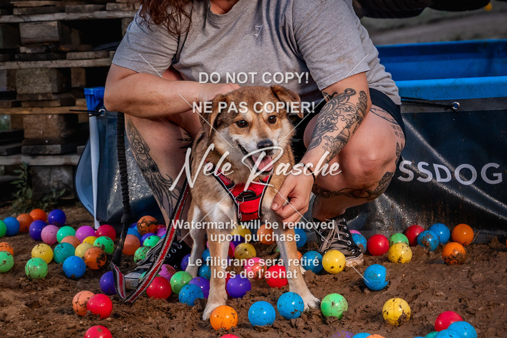 nelerasche_SummerNights26-Sa2000-2100_268 | nelerasche